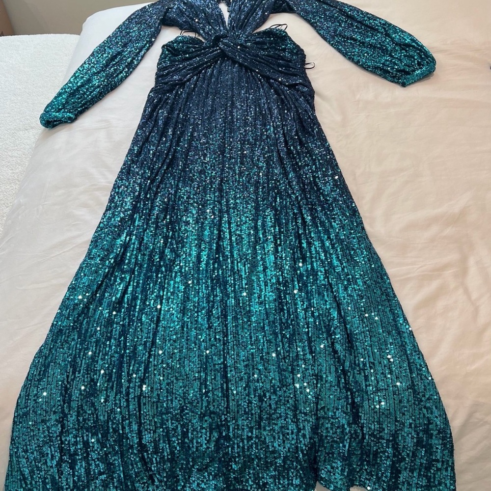 PatBO Alessandra Ambrioso Ombre Sequin
Gown in High Tide. Size Small NWT - Picture 4 of 7